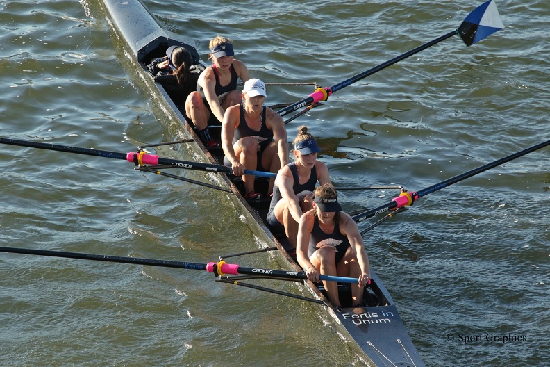 Hooch 2019 - WV4 - hi res.jpg
